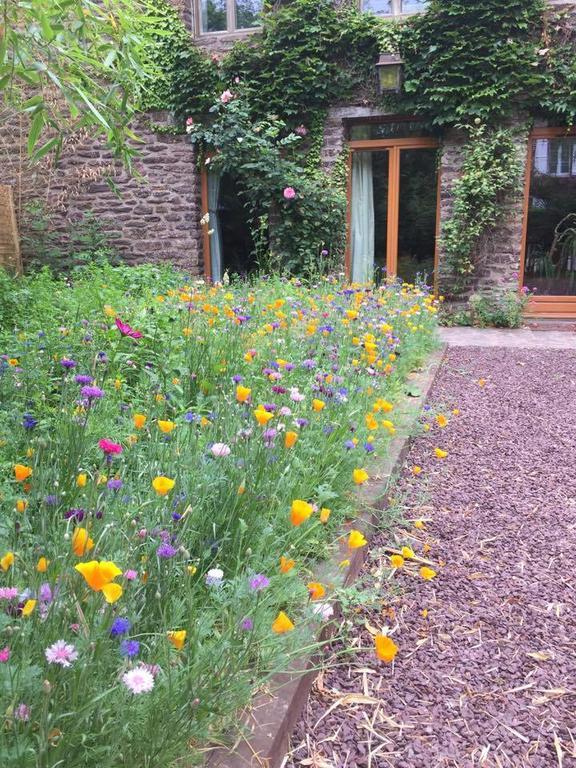 Gite Du Charme En Broceliande Mauron Exterior photo